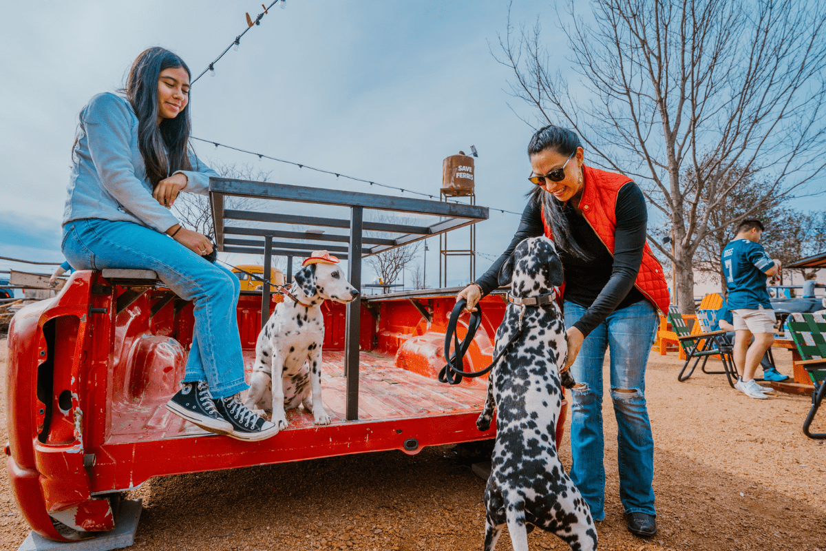 A pair of dalmations hanging out at Truck Yard. | Photo by Truck Yard