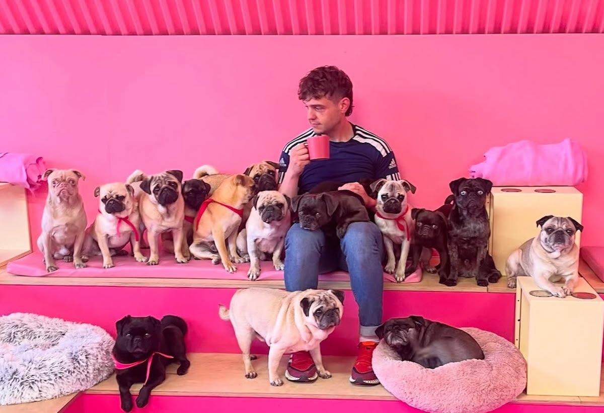 Cuppapug - DiningOut Dallas A guest poses in the pink room with a flock of pugs at CuppaPug in Manchester. | Photo by CuppaPug